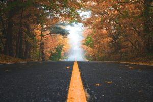 Fall Driving Tips for the Pacific Northwest