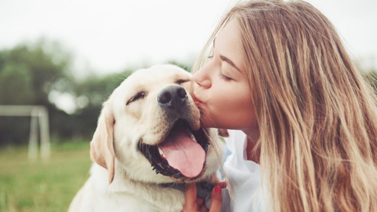 How to Keep Your Pets Happy and Protected