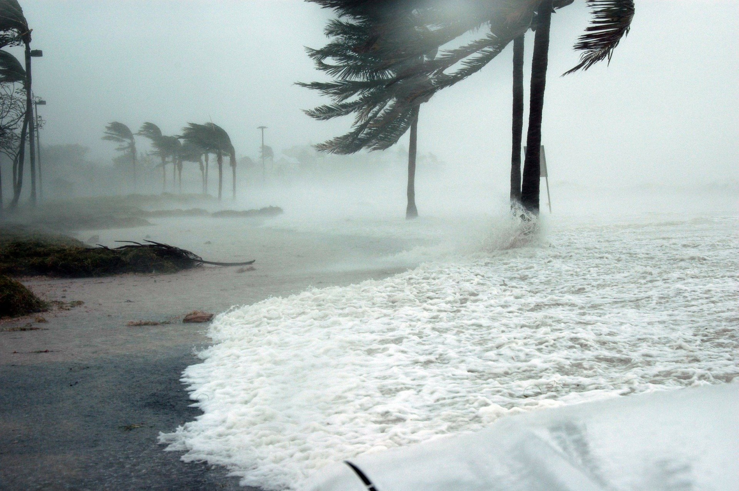 Hurricane Preparedness for Businesses