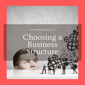 Choosing a Business Structure