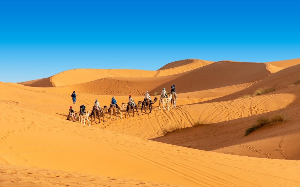 Sahara Travel Image