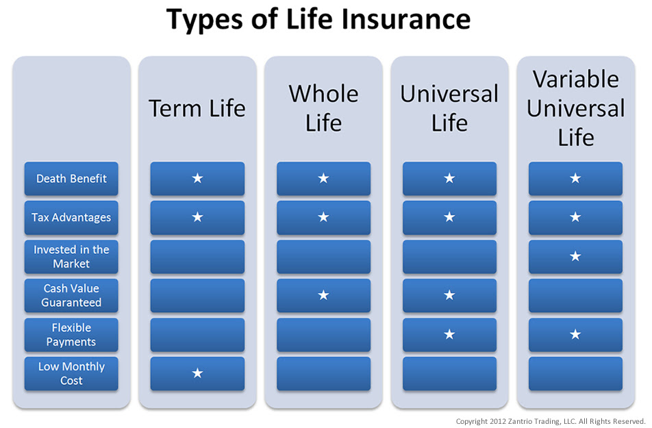 Which Of The Following Best Describes Term Life Insurance