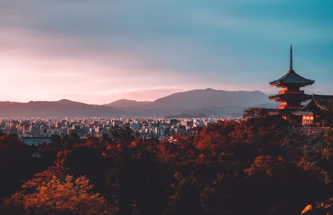 View of trees and city during sunrise in Kyoto, Japan