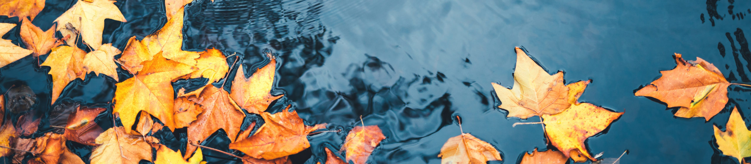 Falling leaves blocking drains? Don’t let it lead to flooding