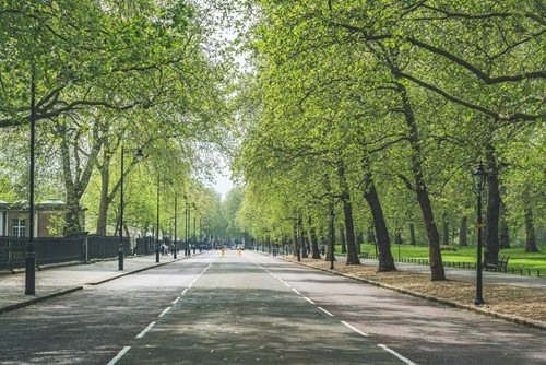 environmental benefits of cycling