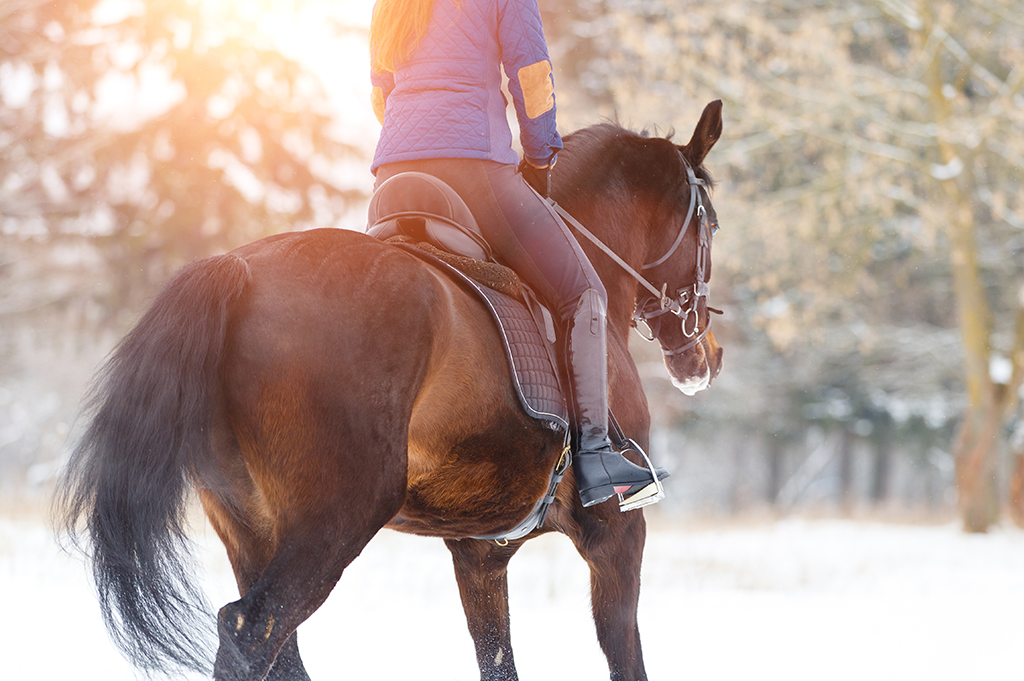 11 QUICK TIPS FOR EXERCISING YOUR HORSE IN WINTER