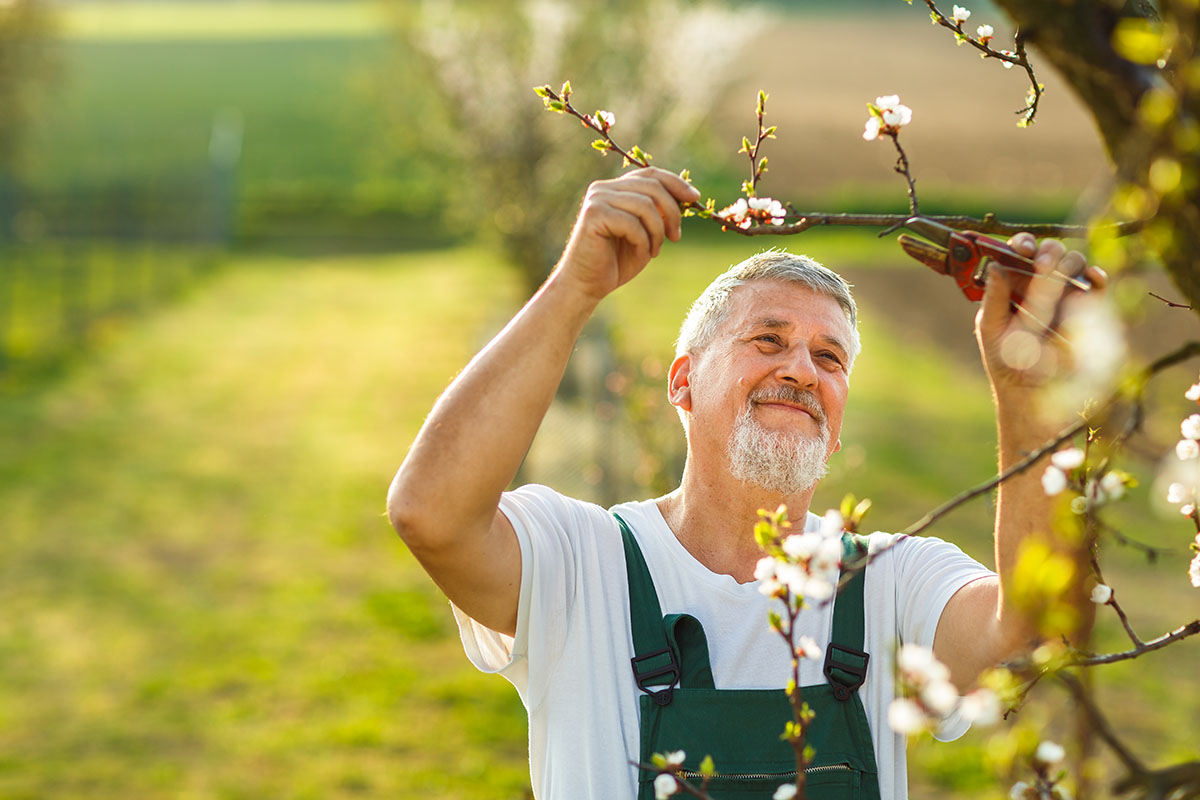 A Closer Look At RBC Insurance And Its Life And Living Benefits   A Closer Look At RBC Insurance And Its Life And 