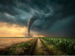 Driving on straight dirt road towards the ominous tornado storm through the cultivated fields of wheat and corn crops.