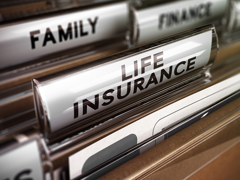 Close up on a file tab with the word life insurance, focus on the main text and blur effect. Concept image for illustration of family protection policy