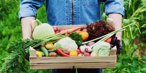 Fun While Feeding the Family: Planting Summer Fruits and Vegetables