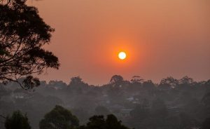 How Wildfire Smoke Affects Air Quality and Health