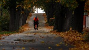 how to maintain your bicycle over winter