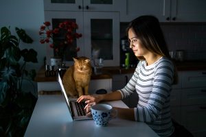 A young woman working late hours with her laptop and orange cat