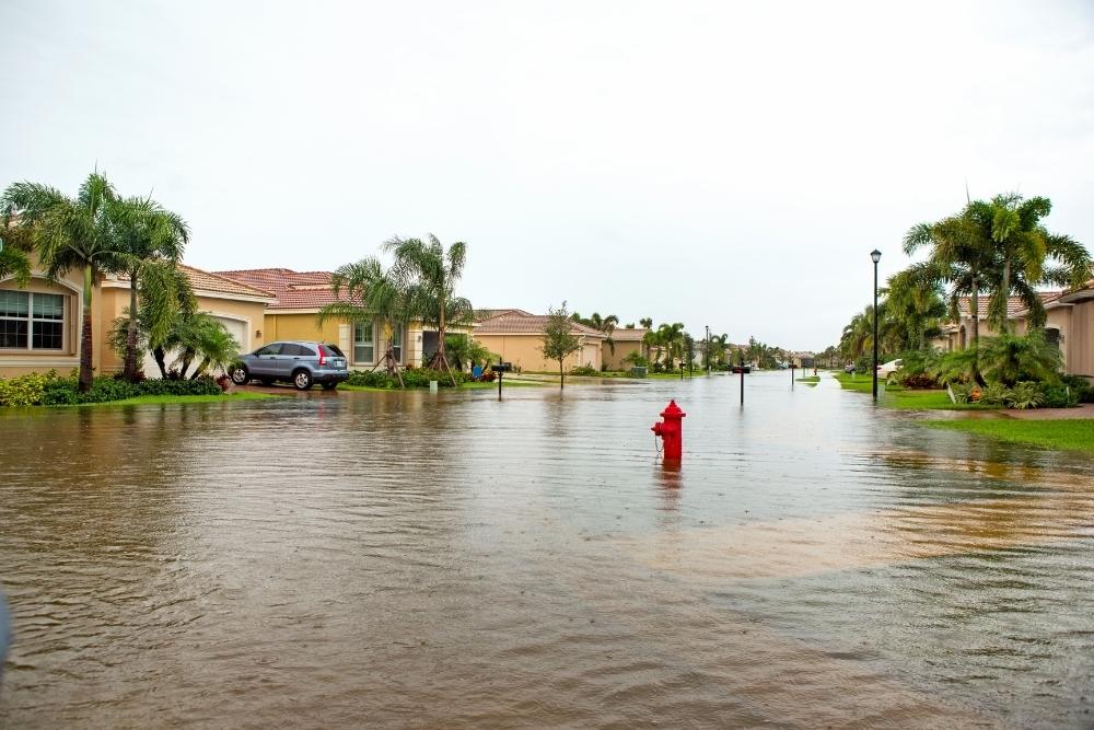What Does A Flood Insurance Policy Transfer or Assumption Mean?