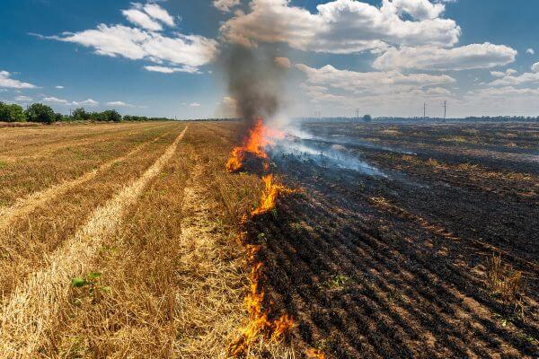 Why your fire risk assessment should include the threat to crops