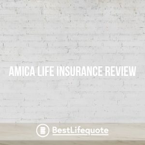 Amica Life Insurance Review