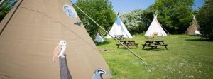 Camping & Glamping – Top UK Destinations