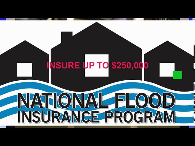 Do You Have Flood or Water Backup & Sewer Insurance?
