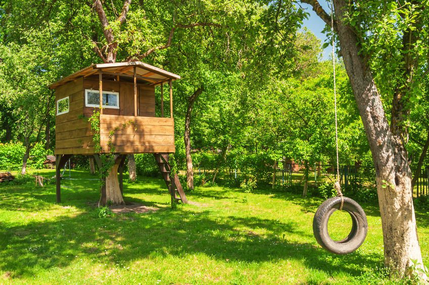 Dogs, trampolines, tree houses and home insurance. Oh My!
