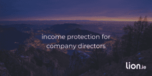 Guide to Income Protection for Company Directors