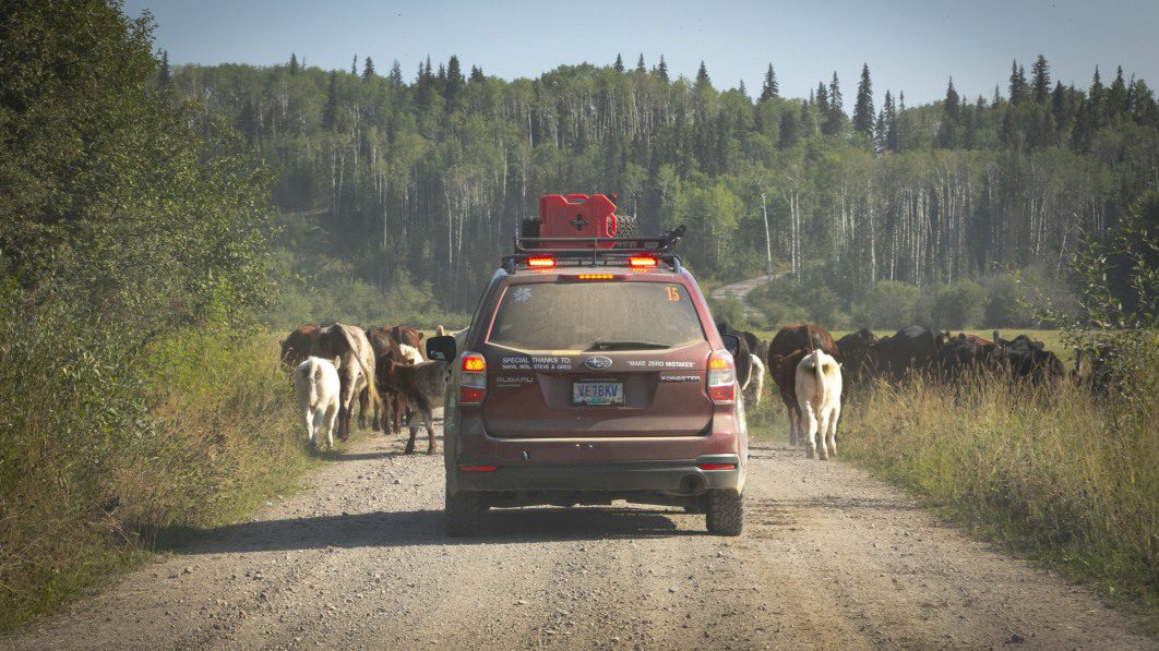 2022 Alcan 5000 Summer Rally | Miles of wild