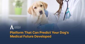 Platform That Can Predict Your Dog’s Medical Future Developed