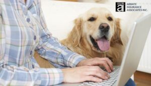 buying pet insurance