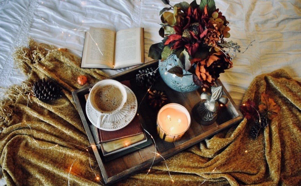 8 Items to Decorate Your Apartment With This Fall