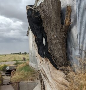 Florida Weather Damage. Are losses covered by insurance?