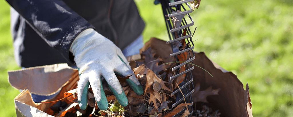 Top 10 tips for fall garden cleanup