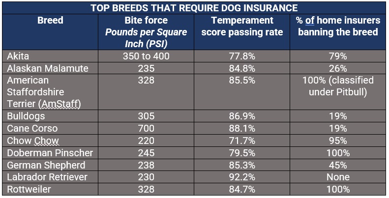 Top canine breeds that require dog insurance