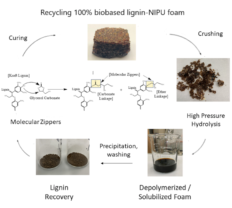 Illustration shows the recycling process including unzipping the molecules.