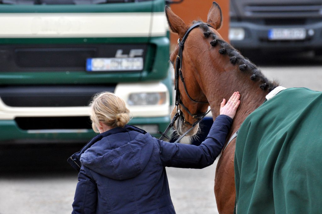 Horse and horse owner walking across a road.