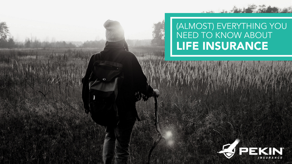 (Almost) Everything You Need to Know About Life Insurance