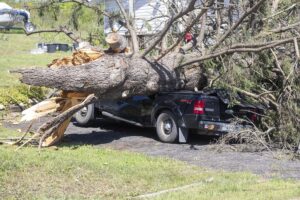 A crushed vehicle from a fallen tree following a tornado in Tweed, Ont. on July 25, 2022.