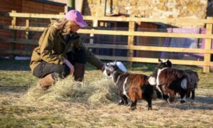 Hannah Russell – Back British Farming