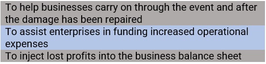 Purpose of business interruption insurance