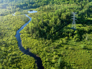 Powerline crossing wetland in Nova Scotia