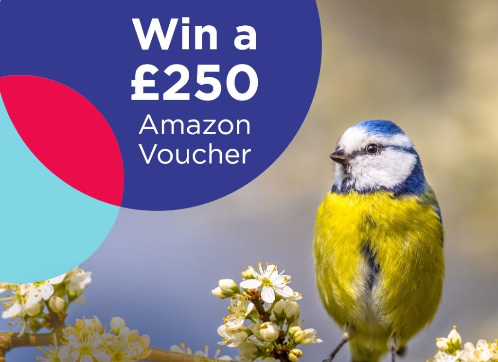 WIN a £250 Amazon Voucher – Spring Photography Competition