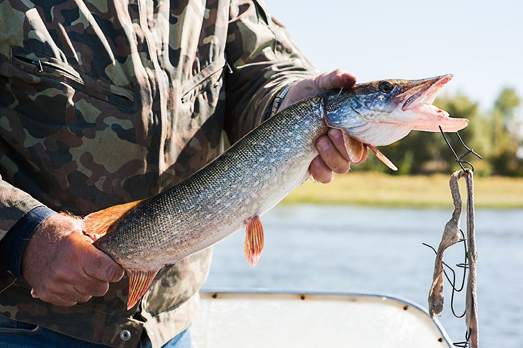 man holding a fish he's caught