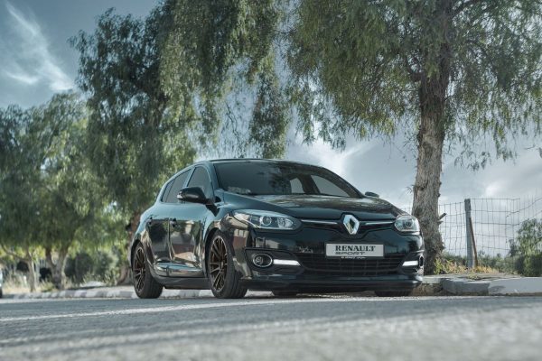 Renault parked under trees