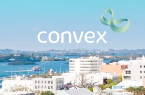 convex-bermuda