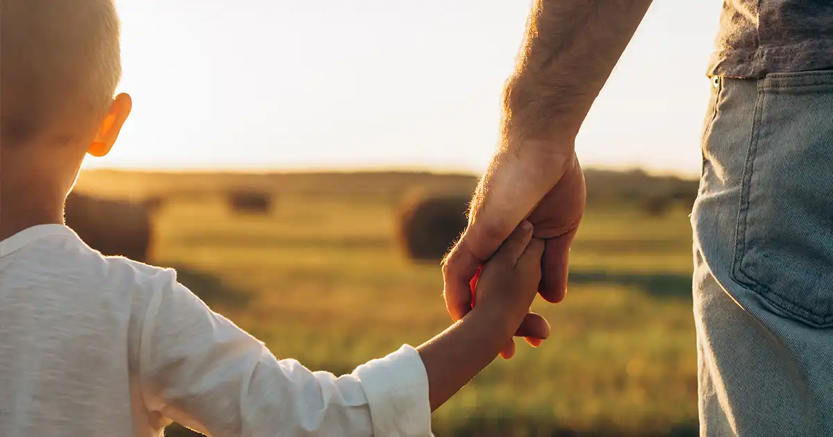 Father's and his son holding hands at sunset field. Dad leading son over summer nature outdoor.