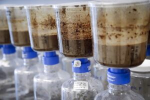 Tailings samples at an Imperial Oil research centre.