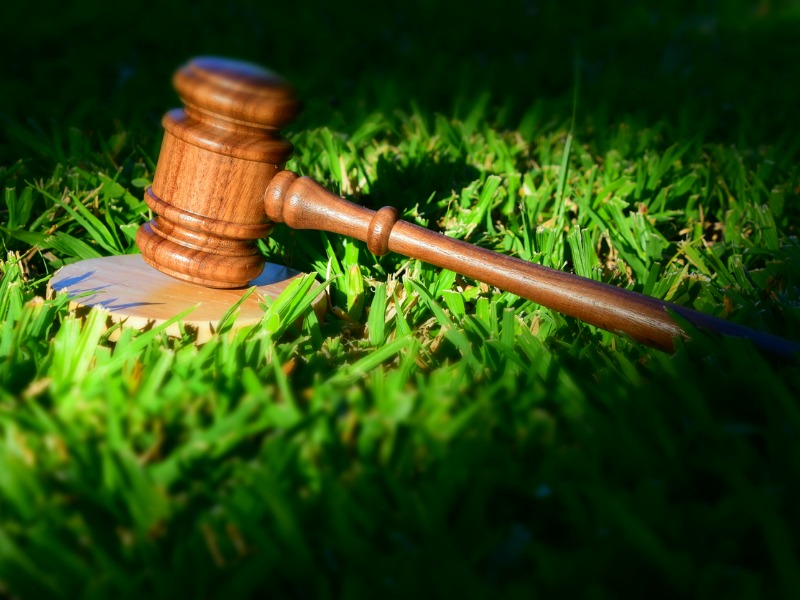 A gavel rests in a patch of grass. ESG legal action.