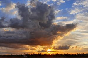 Australia's unpredictable weather sparks greater interest in parametric insurance