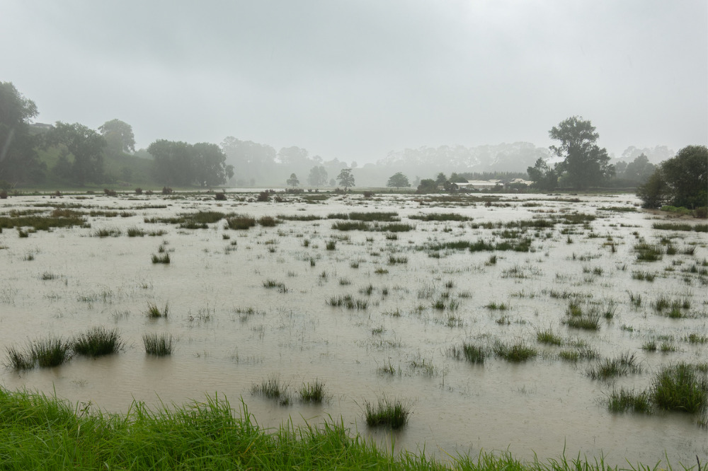 Report recommends natural solutions for Canada's flooding woes