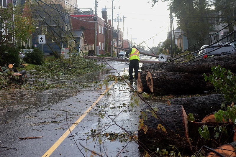 Cleaning up in Charlottetown after Fiona