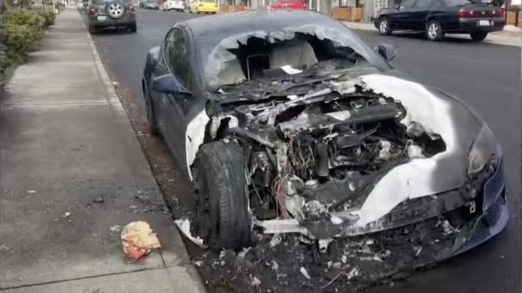 Tesla owner says man set his EV on fire, and Sentry Mode captured it on video