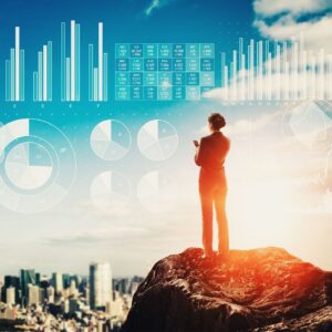 Stock and econominc outlook - business person standing on a rock overlooking a city